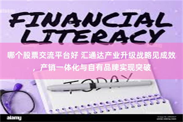 哪个股票交流平台好 汇通达产业升级战略见成效，产销一体化与自有品牌实现突破