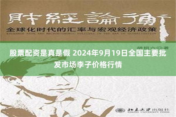 股票配资是真是假 2024年9月19日全国主要批发市场李子价格行情