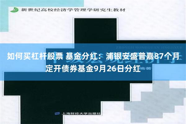 如何买杠杆股票 基金分红：浦银安盛普嘉87个月定开债券基金9月26日分红