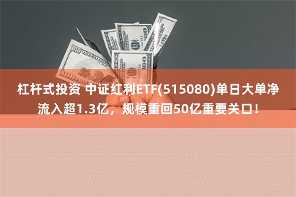 杠杆式投资 中证红利ETF(515080)单日大单净流入超1.3亿，规模重回50亿重要关口！