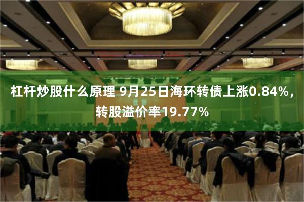 杠杆炒股什么原理 9月25日海环转债上涨0.84%，转股溢价率19.77%