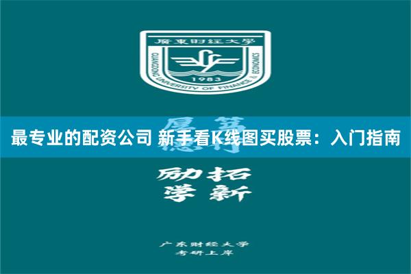 最专业的配资公司 新手看K线图买股票：入门指南