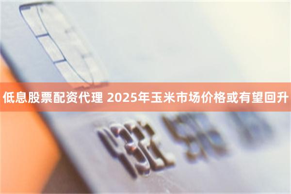 低息股票配资代理 2025年玉米市场价格或有望回升