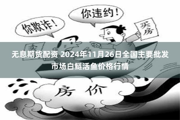 无息期货配资 2024年11月26日全国主要批发市场白鲢活鱼价格行情