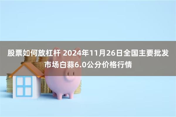 股票如何放杠杆 2024年11月26日全国主要批发市场白蒜6.0公分价格行情