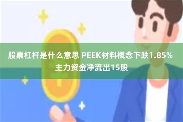 股票杠杆是什么意思 PEEK材料概念下跌1.85% 主力资金净流出15股