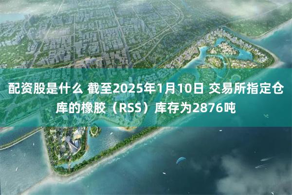 配资股是什么 截至2025年1月10日 交易所指定仓库的橡胶（RSS）库存为2876吨