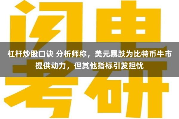 杠杆炒股口诀 分析师称，美元暴跌为比特币牛市提供动力，但其他指标引发担忧