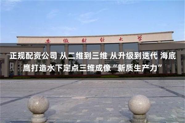 正规配资公司 从二维到三维 从升级到迭代 海底鹰打造水下定点三维成像“新质生产力”