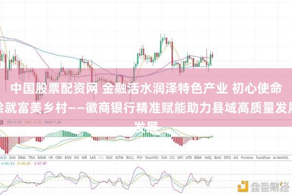 中国股票配资网 金融活水润泽特色产业 初心使命绘就富美乡村——徽商银行精准赋能助力县域高质量发展