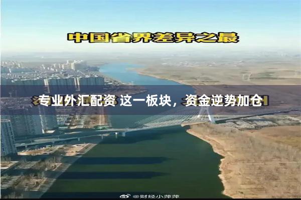 专业外汇配资 这一板块，资金逆势加仓